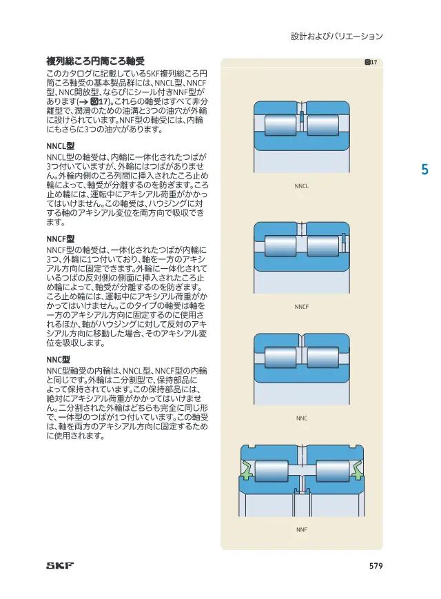 Double-Row Full Complement Cylindrical Roller Bearing on page 14 of SKF "SKF 円筒ころ軸受 (カタログ抜粋)"