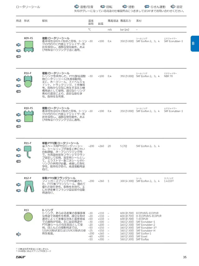 R13 O-Ring on page 35 of SKF "カスタムエンジニアリングシール シール製品案内"