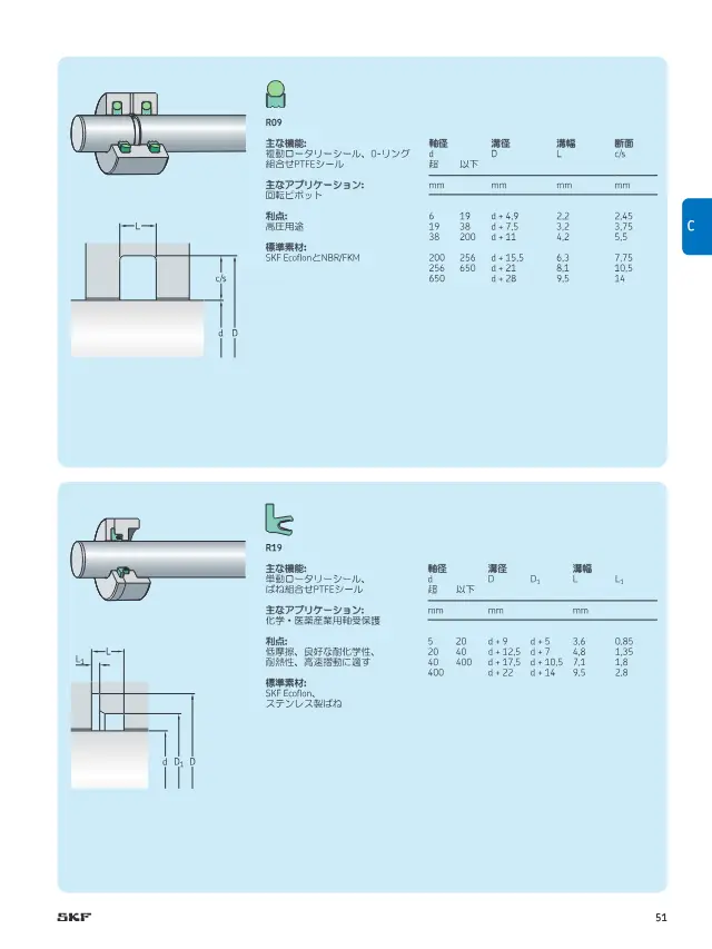 Rotary Seal (R09 Double-Acting Rotary Seal, O-Ring and PTFE Combination) on page 51 of SKF "カスタムエンジニアリングシール シール製品案内"